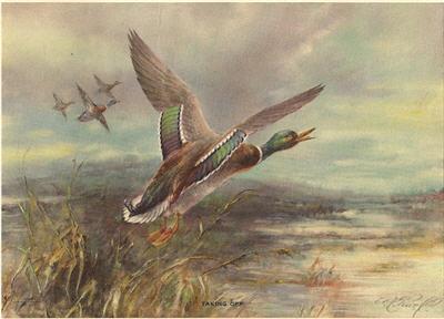 Sample artwork by William Edward Powell (1878/85 - 1955), known for landscape, birds, hunting painting, illustration - View similar artists and auction records